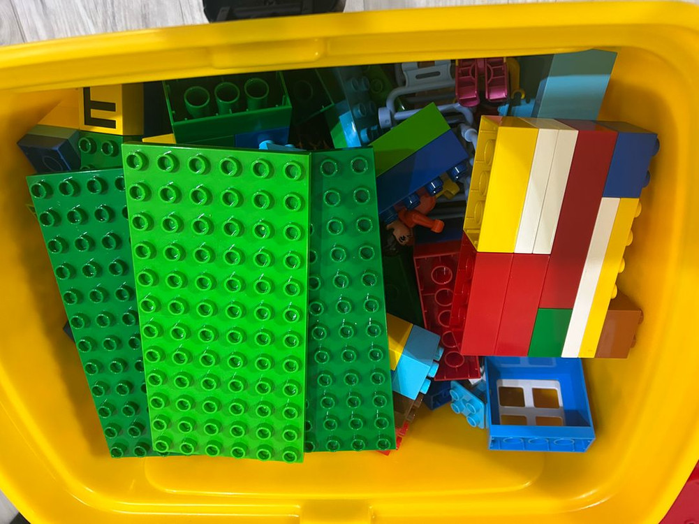 마이리틀타이거 블럭+옥스퍼드 블럭--3