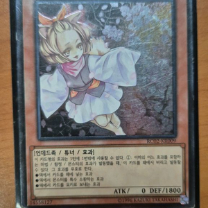 유희왕 하루우라라