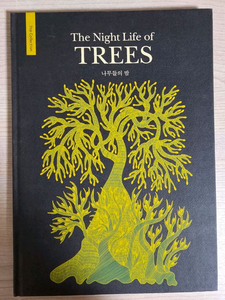 해저탐험, 나무들의 밤, 일루미네이쳐--2