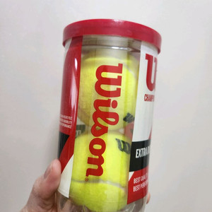 윌슨 챔피언십 엑스트라 듀티 테니스공 캔볼