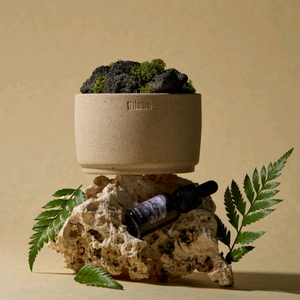 티슬 화산석 스톤 디퓨저 새상품