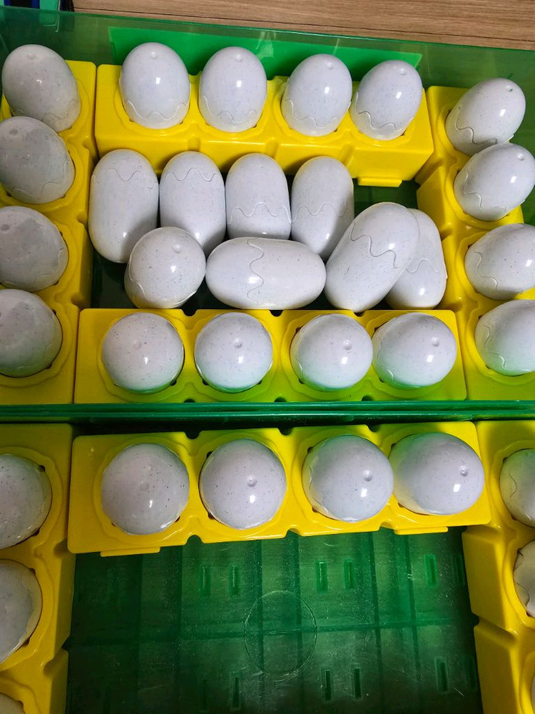 공룡메카드 53종 ( 스피노. 코리리 포함 전 종)--7