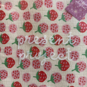 프레젠트프로젝트 블랭킷 빅베리