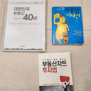 부동산 차트 투자법, 아기곰의 부동산 비타민