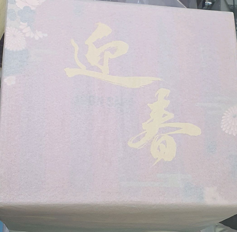 스텝 드림 step dream 일레인 1/6 스케일 피규어--1