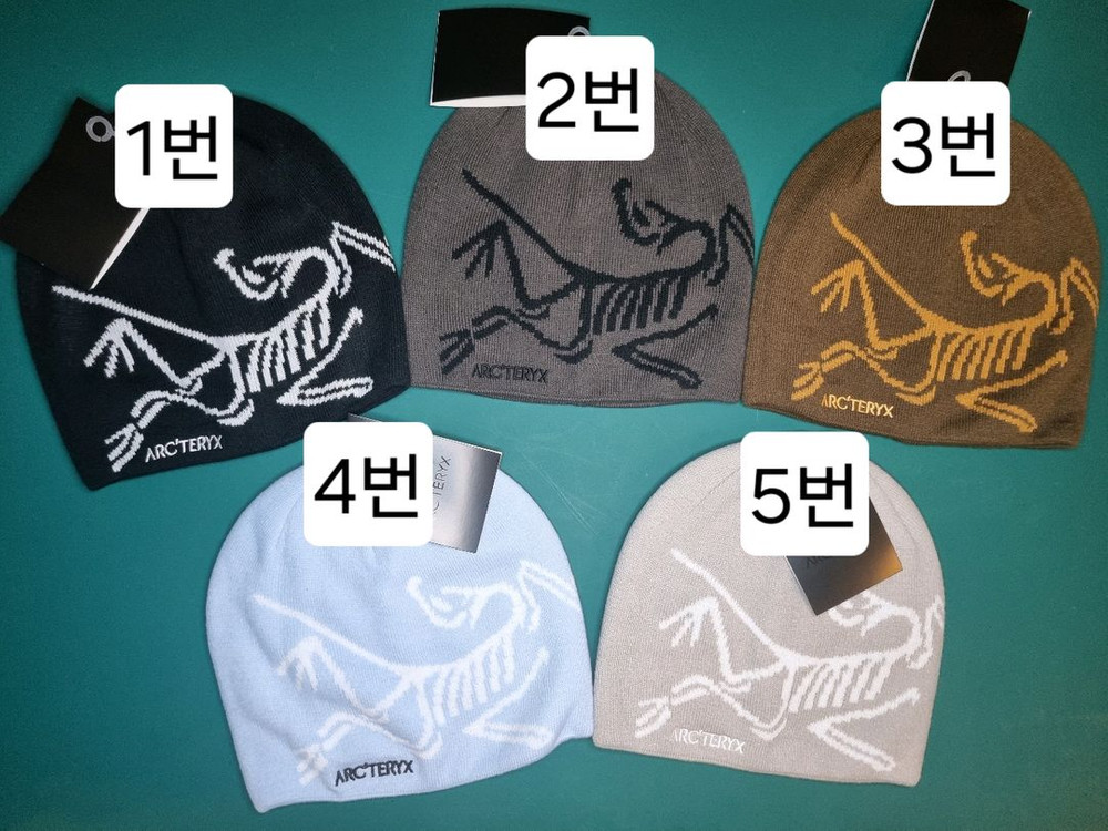 아크테릭스 비니. 버드헤드토크.--1