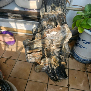 수석 돌 큰돌 팔아요