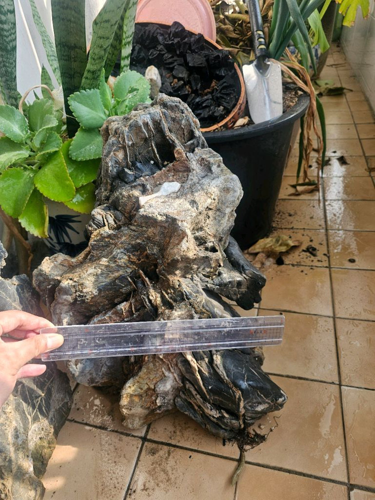 수석 돌 큰돌 팔아요--4