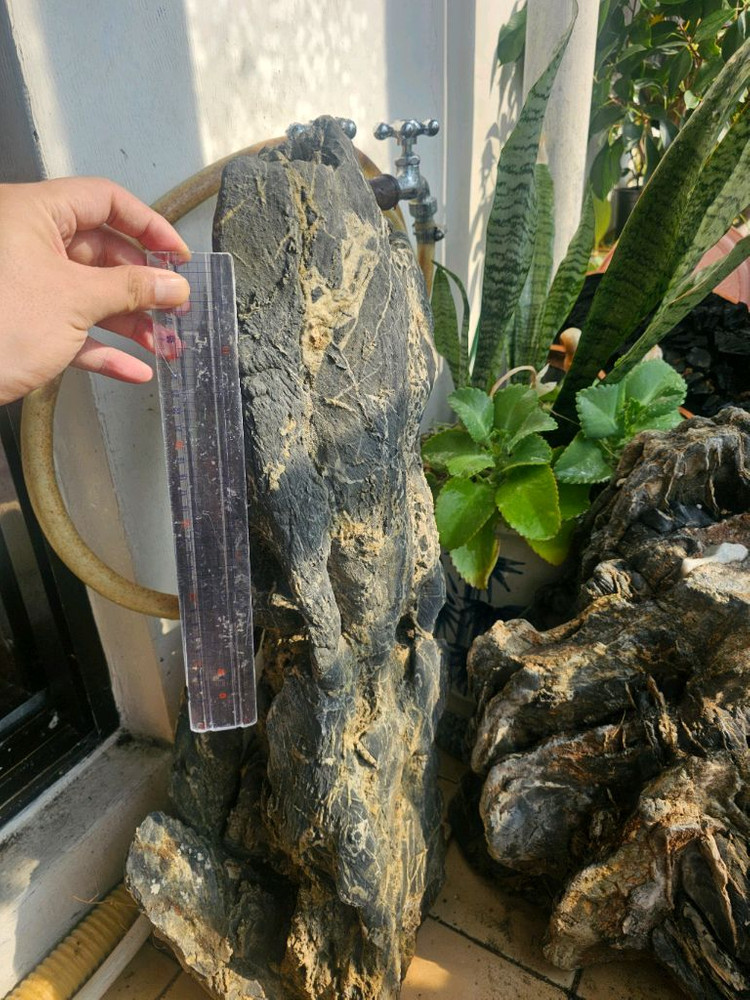 수석 돌 큰돌 팔아요--6