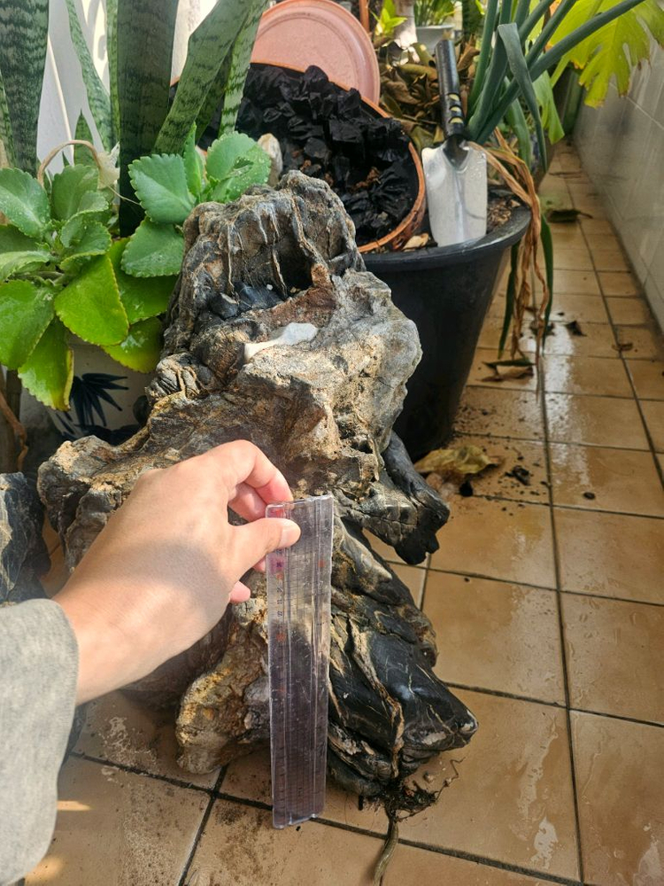 수석 돌 큰돌 팔아요--8