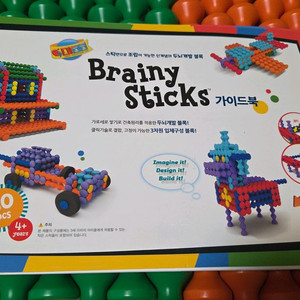 오르다 빅브레이니스틱스