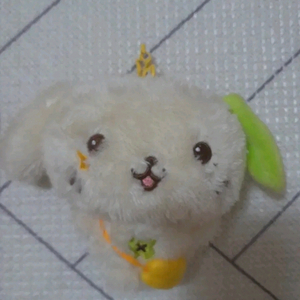 위시돌-룐룐이 이미지