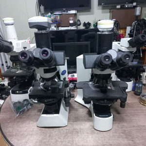 올림프스 3안위상차.생물현미경 대여렌탈합니다 이미지