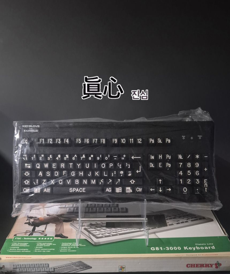 체리 빈티지 (2004) 한정판 PS/2 기계식 키보드--0