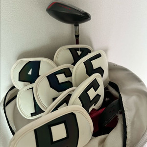 여성용 아이언+우드+퍼터 + 스카티카메론 캐디백 이미지