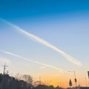 알로항 머니 팔아요 100만당 1:0 서비스드림