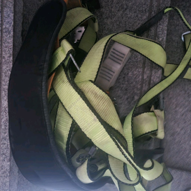 안전벨트 이미지