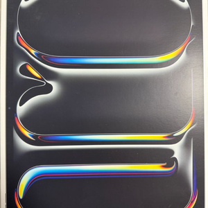 아이패드 프로 13인치 M5 실버 셀룰러 256GB