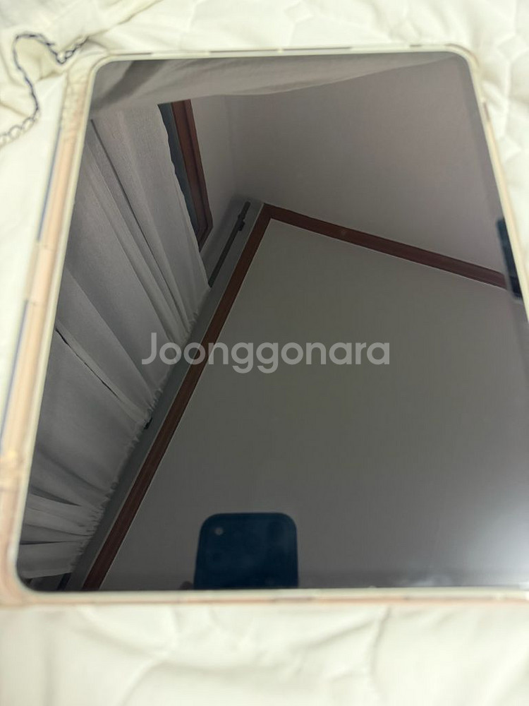 아이패드 프로 13인치 M5 실버 셀룰러 256GB--2