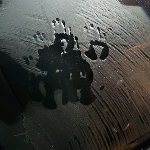 로스트아크 로아 닉네임 팔아요 이미지