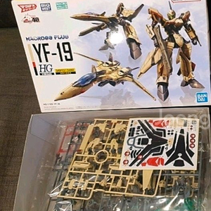 hg YF-19