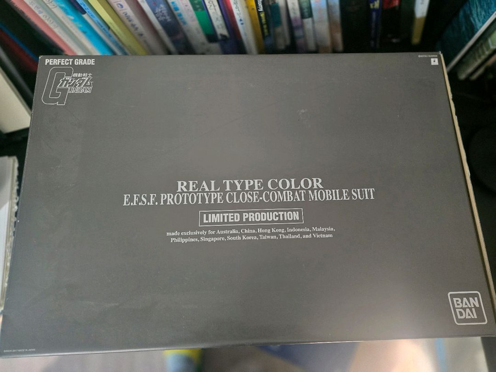 퍼스트건담 pg 리얼타입 컬러--0