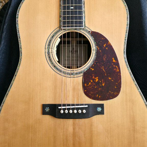 시그마 sdr 42s 기타