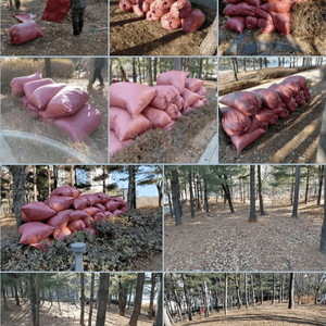 인천 서구 가좌동 가좌이음숲 근처, 낙엽 퇴비 무료나눔 합니다. 이미지