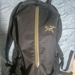 아크테릭스 아로22 amy 에디션 (급매)