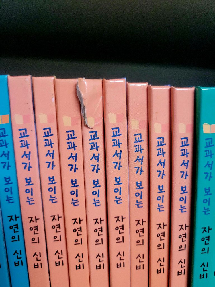 교과서가 보이는 자연의 신비 69권--2