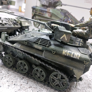 *각종교신가능*대형(DP전용1/16)밀리터리프라모델*독일연방(비젤Mk2)정밀도색작~바람에언덕에서