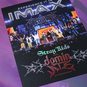 스트레이키즈 아이맥스 포스터 stray kids poster cgv 굿즈