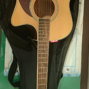 legpap어쿠스틱기타