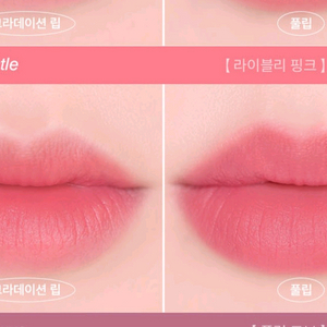 FEEV 발색좋은 립 틴트 -빠른거래원해요