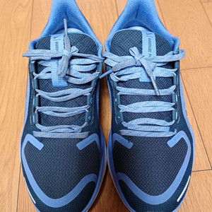 NIKE 나이키 페가수스 41 고어텍스 러닝화 235mm(24년7월)