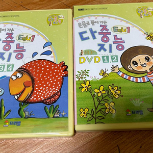 프뢰벨 다중지능 dvd 택포 이미지