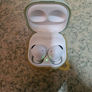 무선 이어폰 프로 2세대 + 케이스 세트