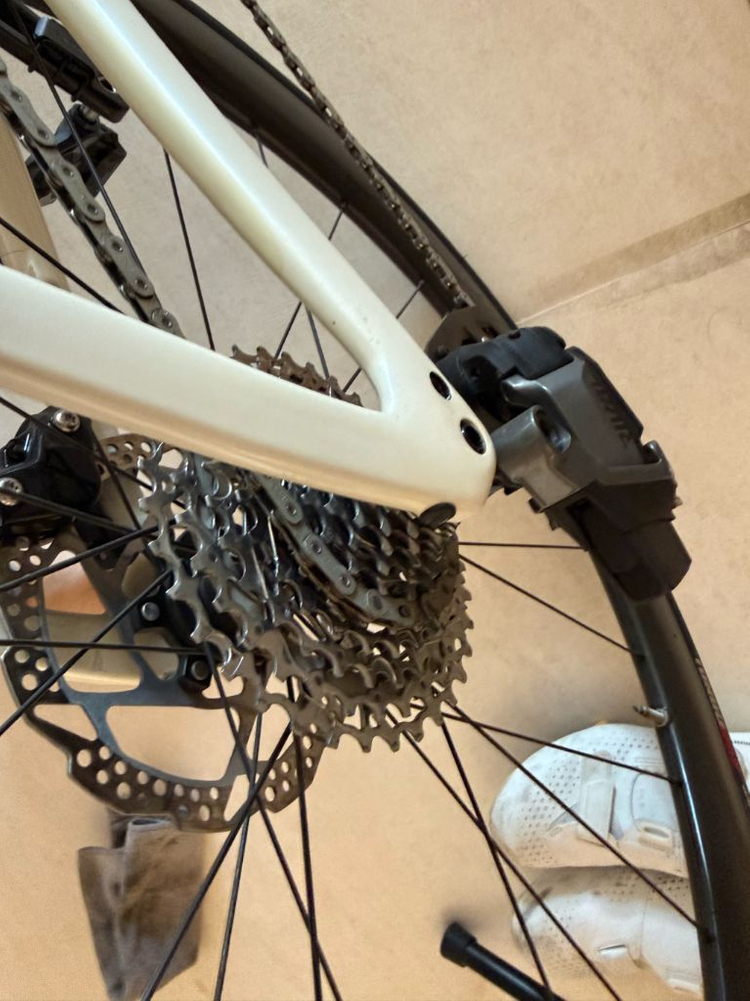 스페셜라이즈드 타막 콤프 라이벌 이탭(2022) 52 사이즈 판매(파스포츠 아이안테 카본 휠셋 장착) 이미지