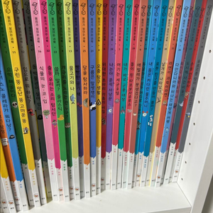 웅진 원리가 보이는 과학 (새책 컨디션)