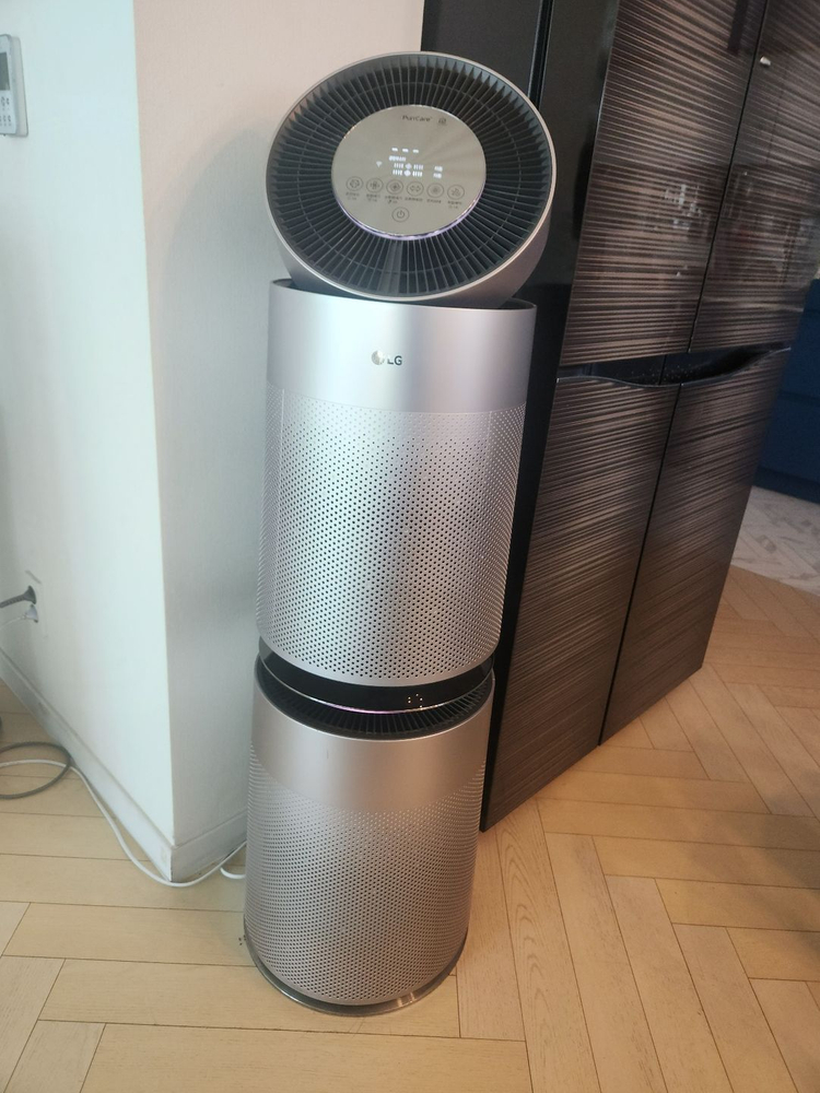 LG 퓨리케어 2단 공기청정기 판매 (AS309DPA)--0