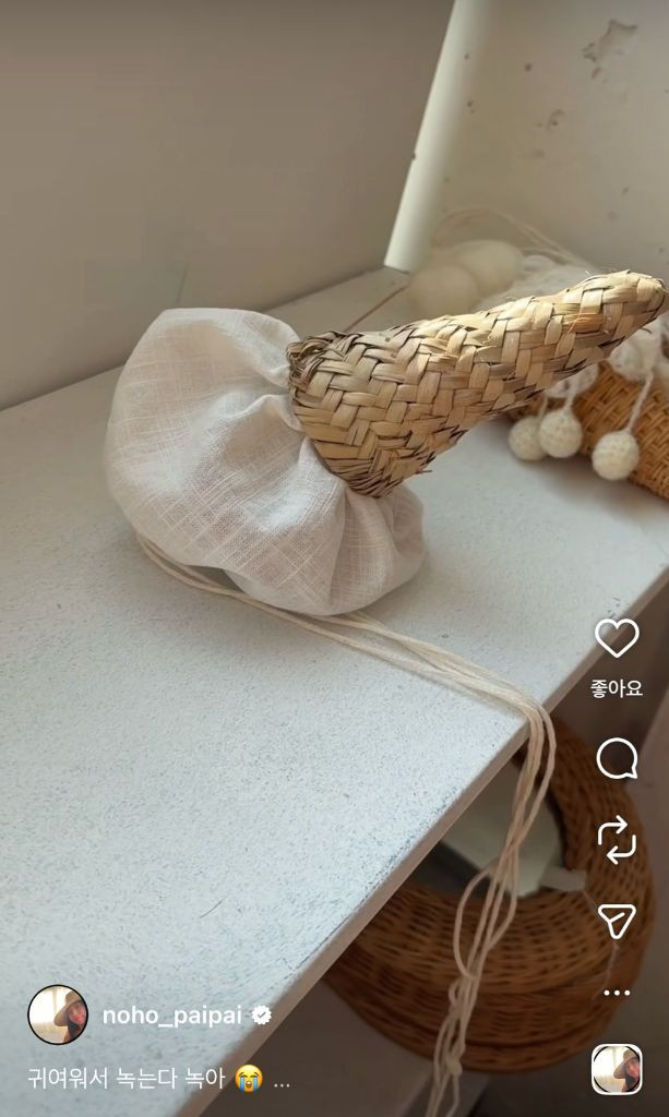 노호파이파이 야자맛 젤라또백 택포--4