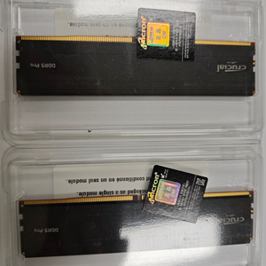 마이크론 Crucial DDR5-5600 CL46 PRO 대원씨티에스 16GB 메모리 2개 세트 이미지