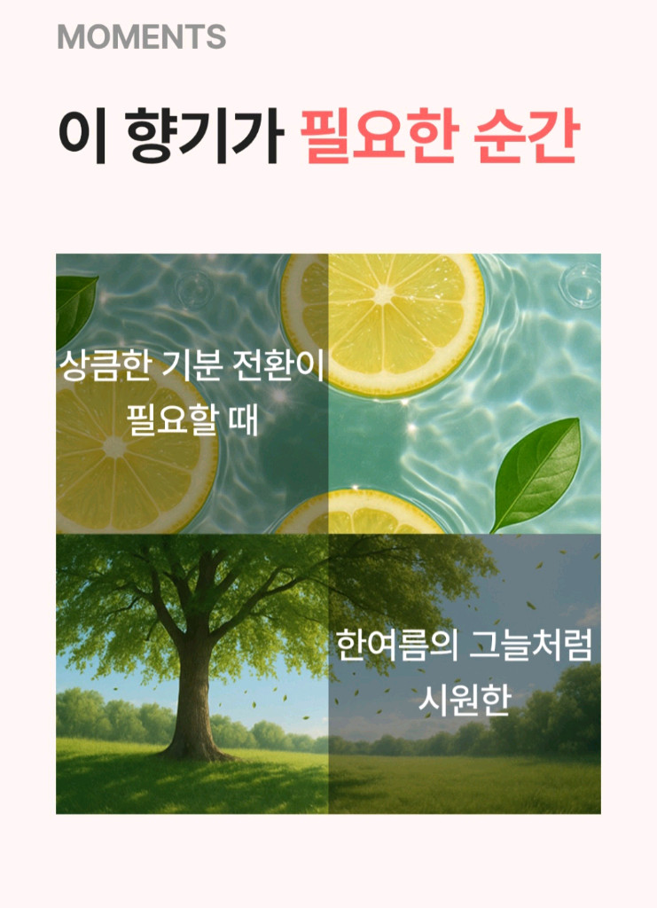 새제품)러쉬 대드스 가든 레몬트리 바디스프레이 보디스프레이 이미지