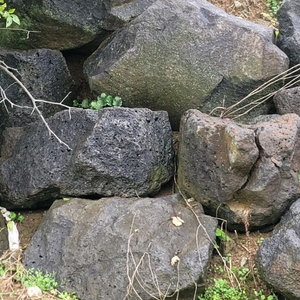 현무암 자연석 조경석 제주도 철원 곰보돌 돌 석축