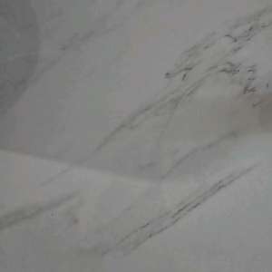 갤러리아 80% 팝니다