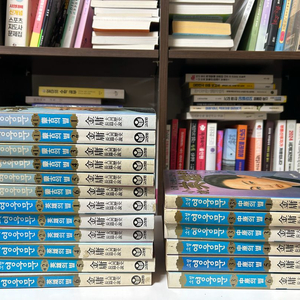 고려원 영웅문 소설