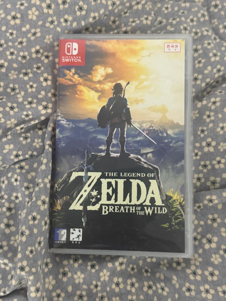 닌텐도 스위치 젤다 야생의 숨결 야숨 이미지