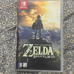 닌텐도 스위치 젤다 야생의 숨결 야숨 이미지