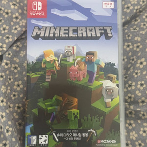 닌텐도 스위치 마인크래프트 칩