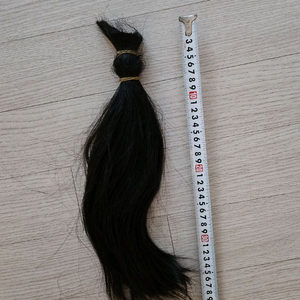 인모 40cm 이상 이미지